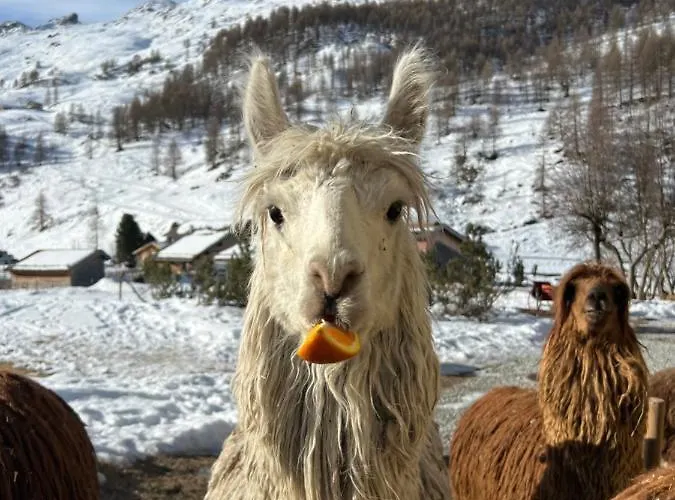 Hotel Fex Sils im Engadin